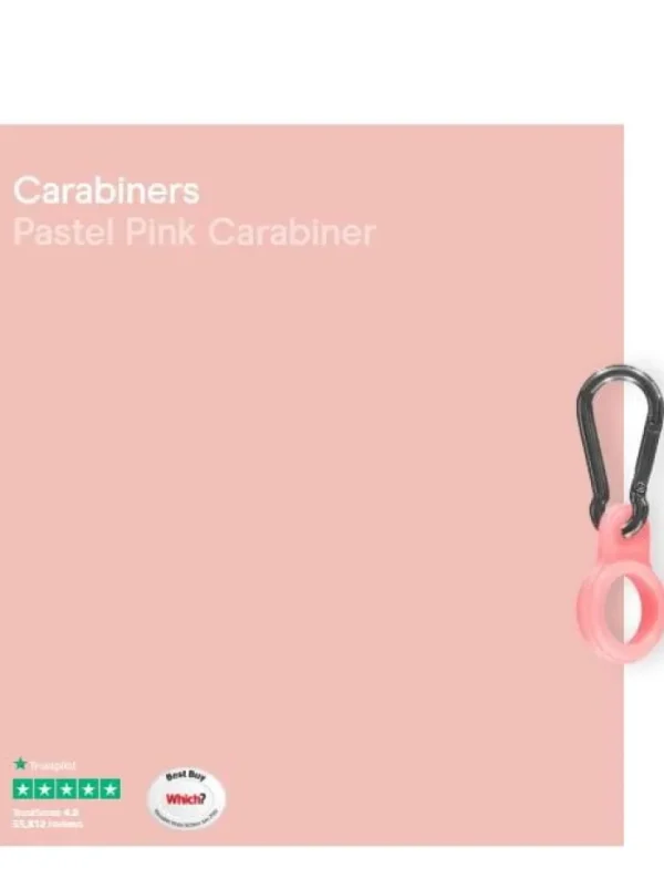 Chilly's Water Bottles Water Bottles^Chilly's S Water Bottle Carabiner Pastel Pink CBCARPAPNK