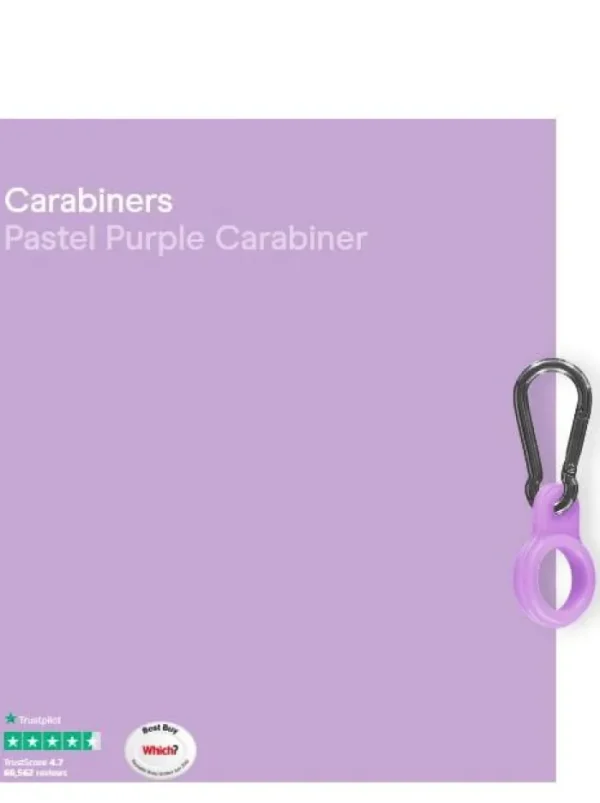 Chilly's Water Bottles Water Bottles^Chilly's Water Bottle Carabiner Pastel Purple CBCARPAPPL