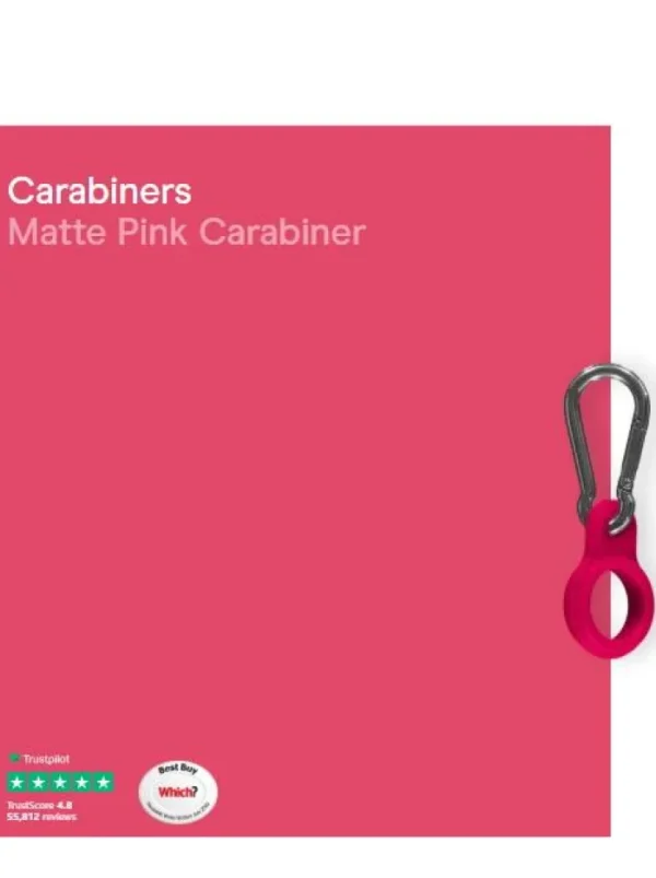 Chilly's Water Bottles Gifts Under £50 | Water Bottles^Chilly's Water SS Bottle Carabiner Matt Pink CBCARMAPNK