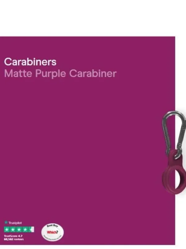 Chilly's Water Bottles Gifts Under £50 | Water Bottles^Chilly's Water SS Bottle Carabiner Matt Purple CBCARMAPPL