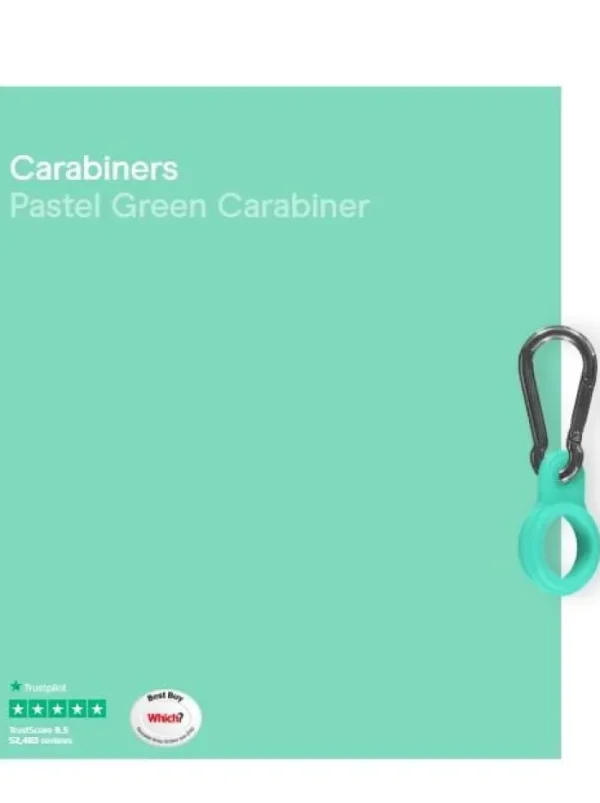 Chilly's Water Bottles Gifts Under £50 | Water Bottles^Chilly's Water SS Bottle Carabiner Pastel Green CBCARPAGRN