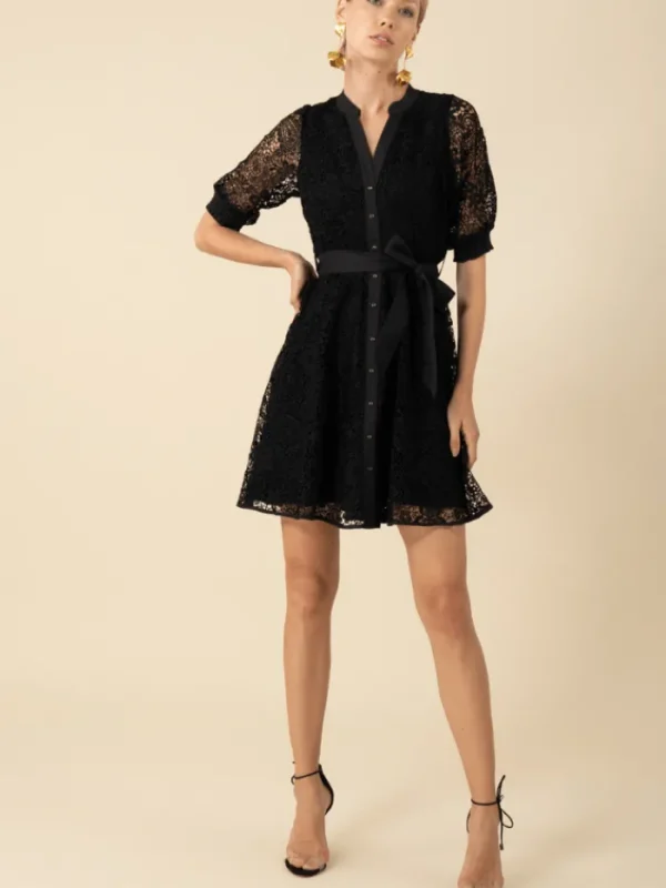 Hale Bob Dresses | Party Wear^Women's CHRISTINA Floral And Paisley Black Lace Mini Dress 51
