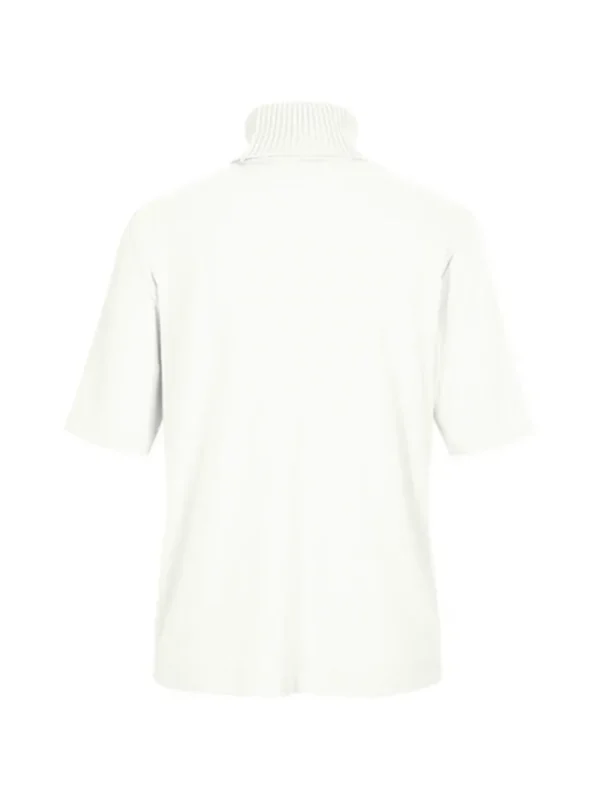 Riani Knitwear | Gifts Under £100^High Neck Short Sleeve Top In Daydream 388610 7271 Col 801